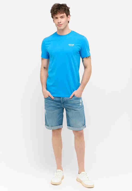 Hose Style Michigan Shorts, Blau 212, model